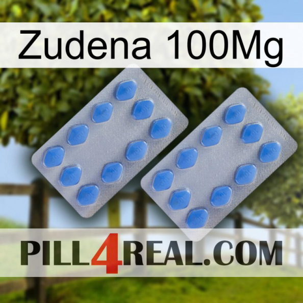 Zudena 100Mg 20.jpg